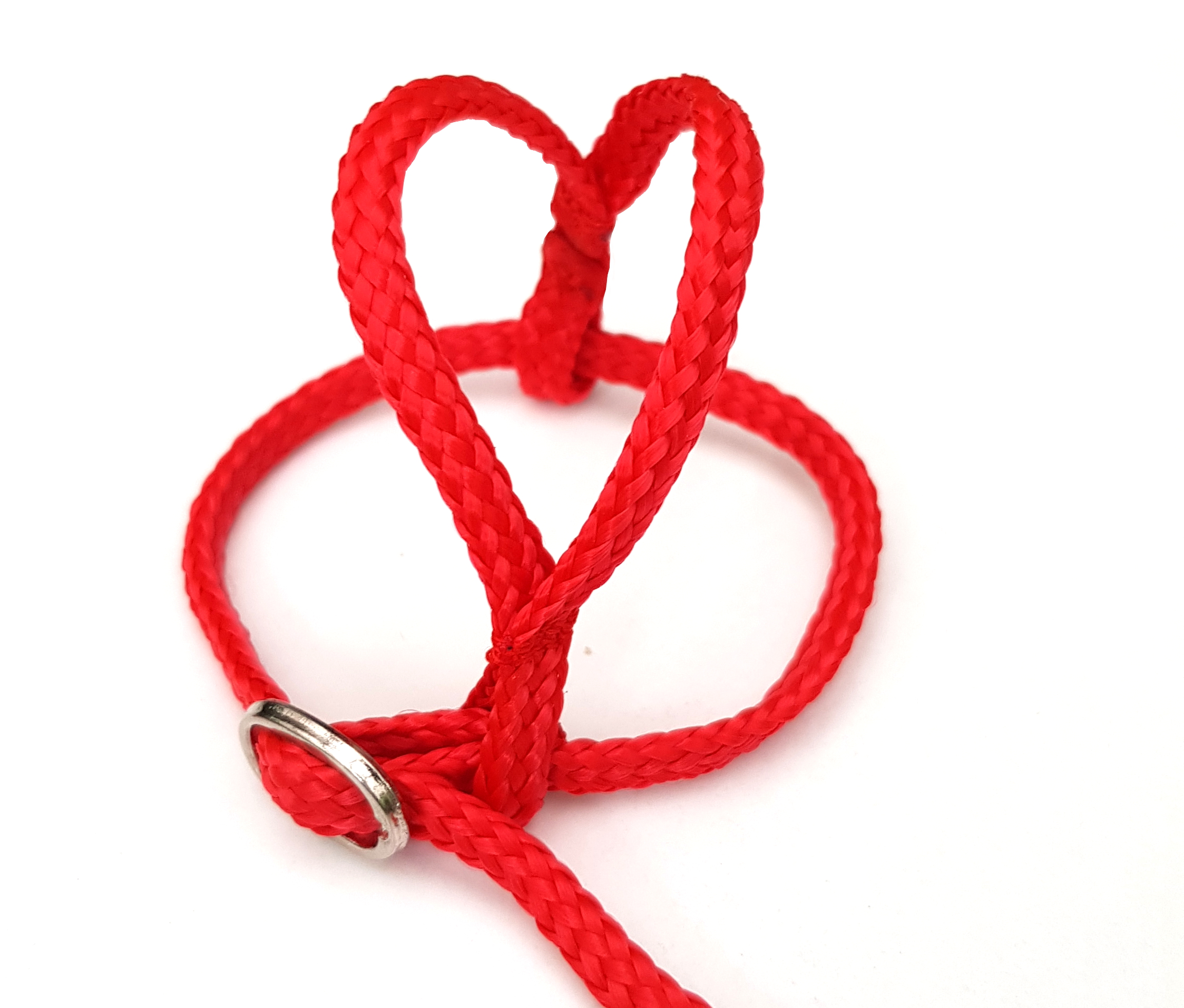 szelki dla małych papug