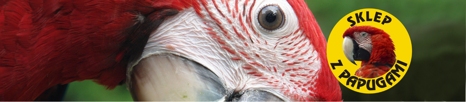 Sklep z Papugami